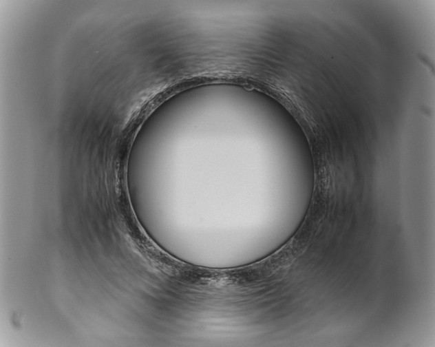 X0000102840688200808181025