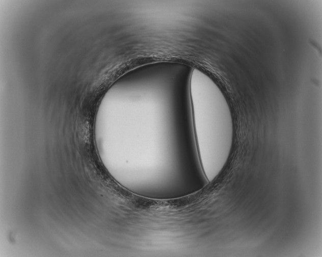 X0000102840689200808181025