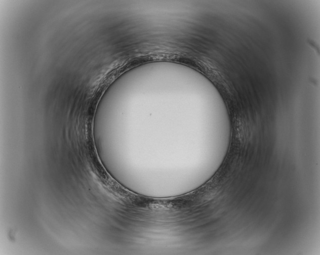X0000102840690200808181025