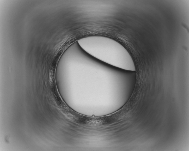 X0000102840691200808181025