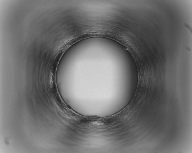 X0000102840692200808181025