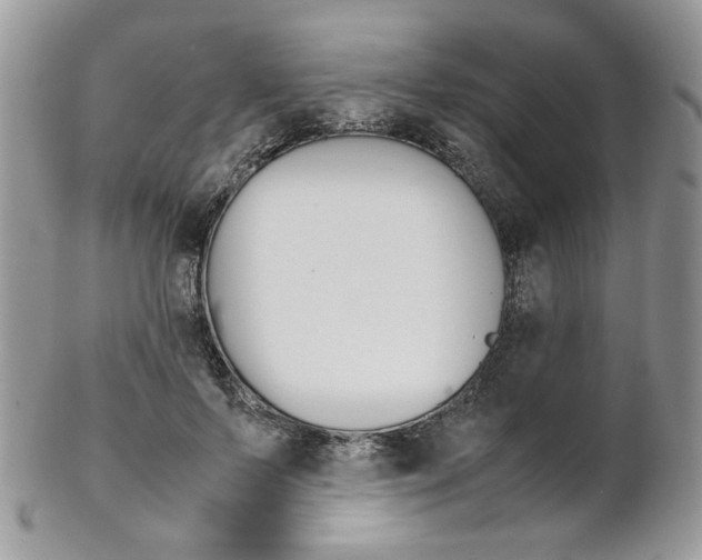 X0000102840695200808181025