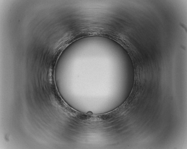 X0000102840696200808181025