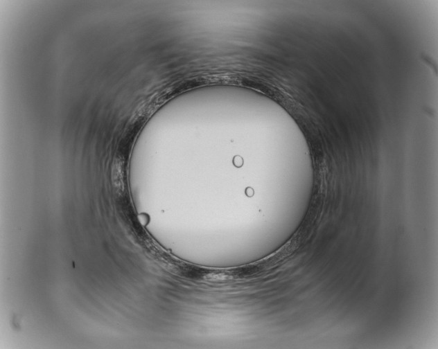 X0000102840699200808181025