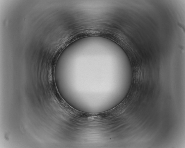X0000102840700200808181025