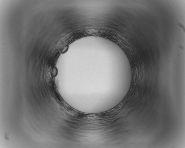 X0000102840702200808181025
