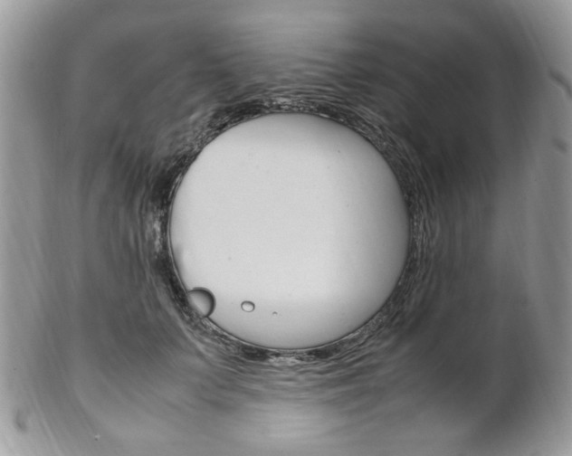 X0000102840703200808181025