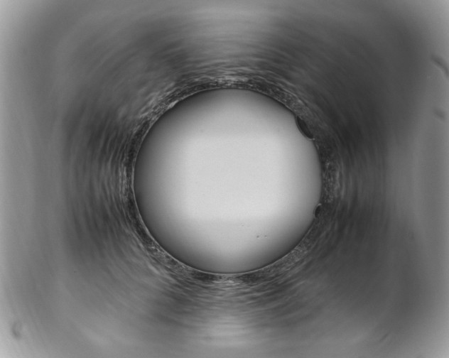 X0000102840704200808181025