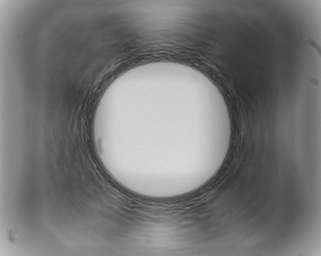 X0000102840705200808181025