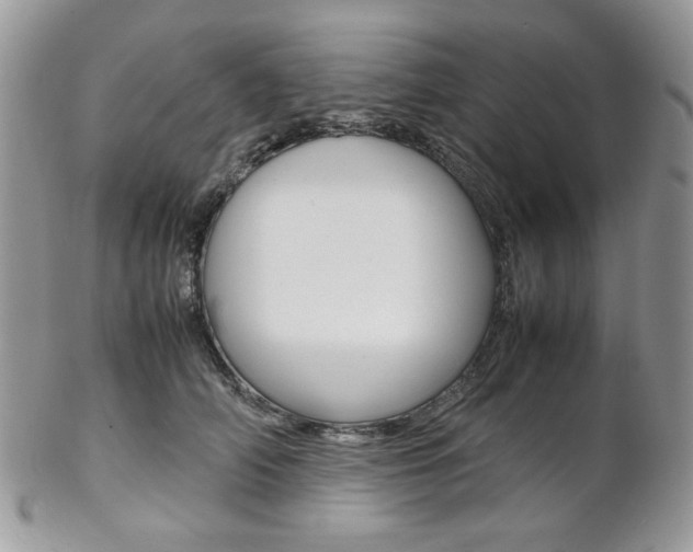 X0000102840706200808181025