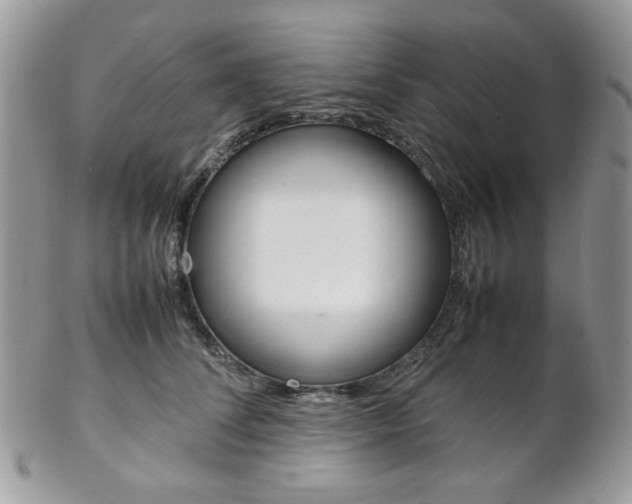 X0000102840708200808181025