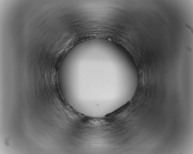 X0000102840712200808181025