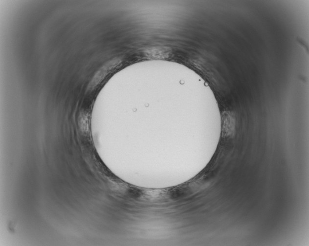 X0000102840713200808181025