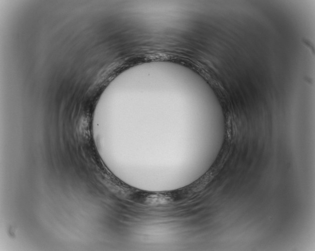 X0000102840714200808181025
