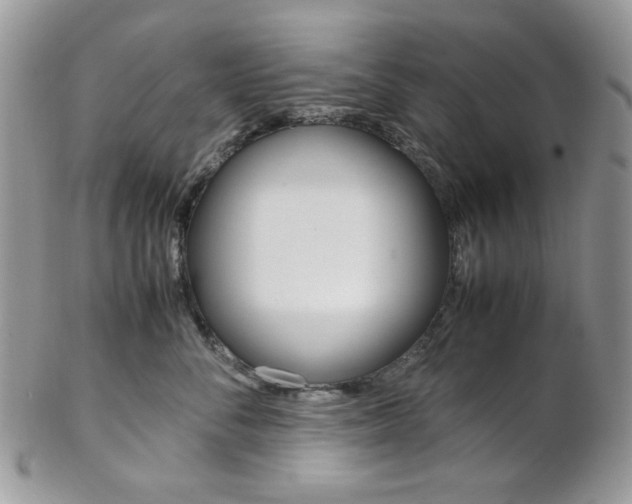X0000102840716200808181025