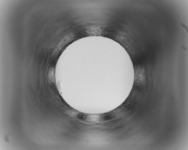 X0000102840717200808181025