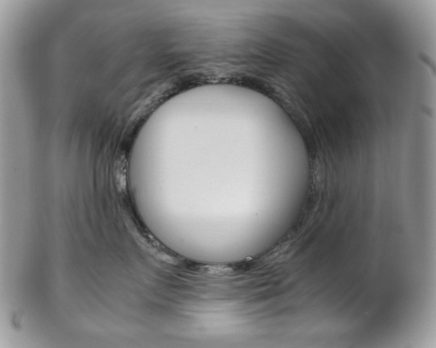 X0000102840719200808181025