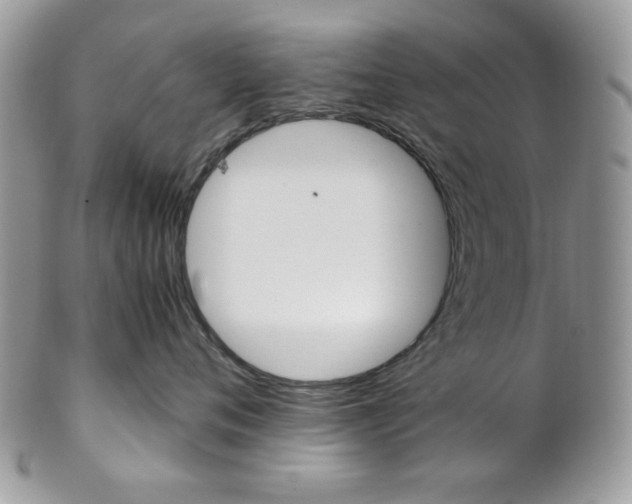 X0000102840720200808181025