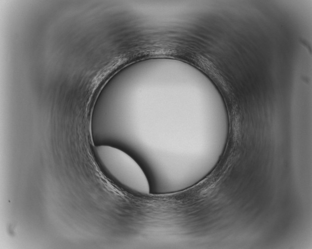 X0000102840721200808181024