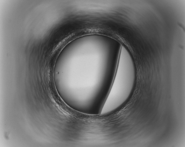 X0000102840722200808181024