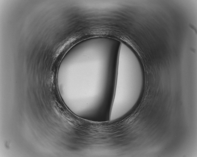 X0000102840723200808181024