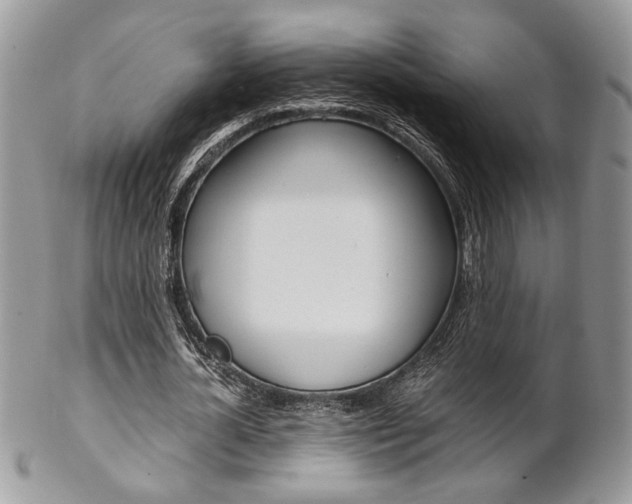 X0000102840724200808181024