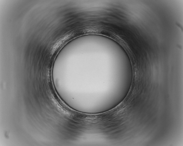 X0000102840725200808181024
