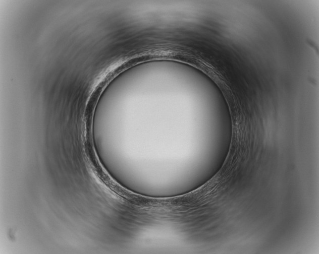 X0000102840726200808181024