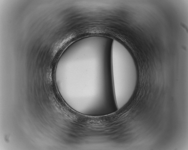 X0000102840727200808181024