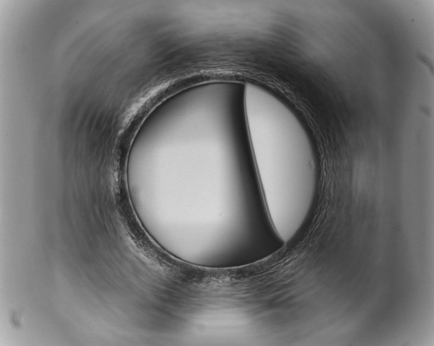X0000102840728200808181024