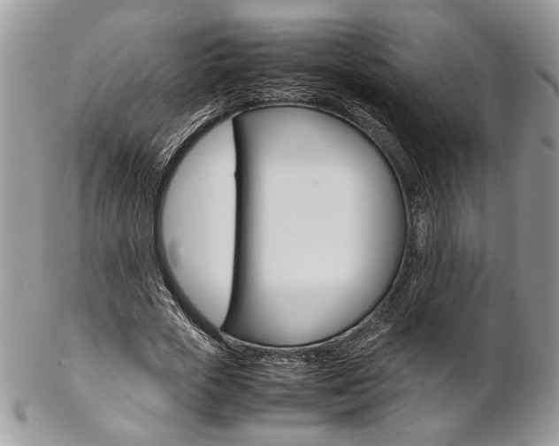 X0000102840729200808181024