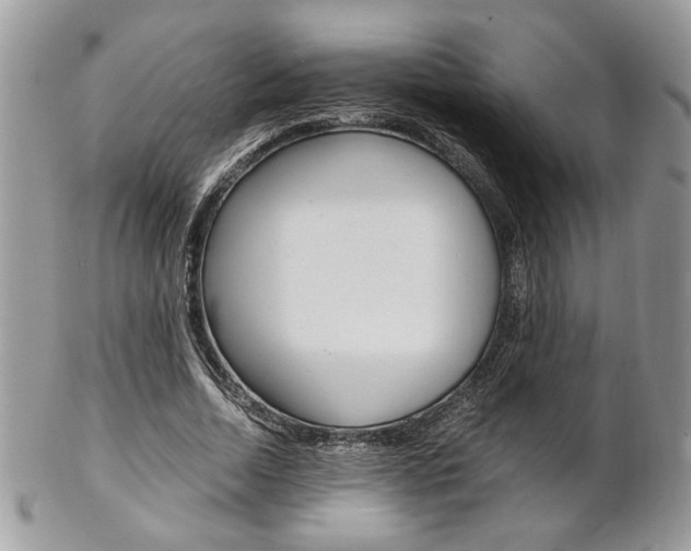 X0000102840730200808181024