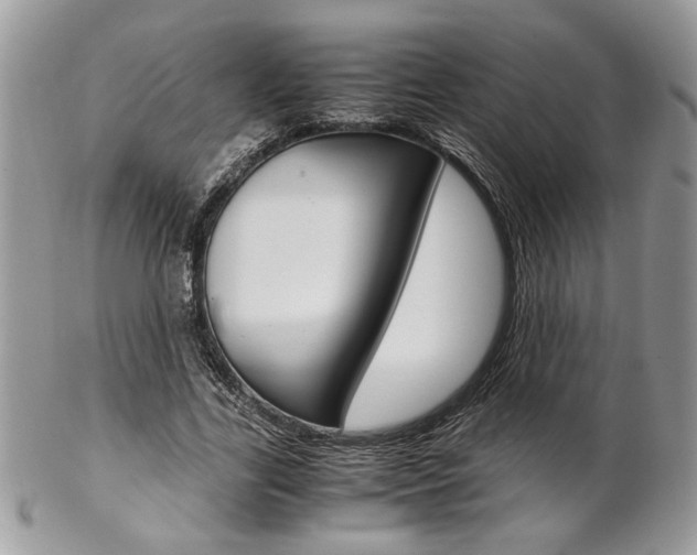 X0000102840731200808181024