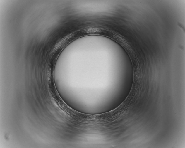 X0000102840732200808181024