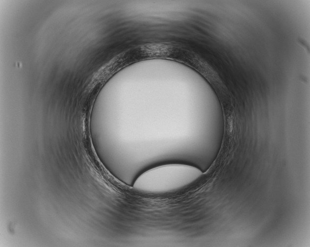X0000102840733200808181024