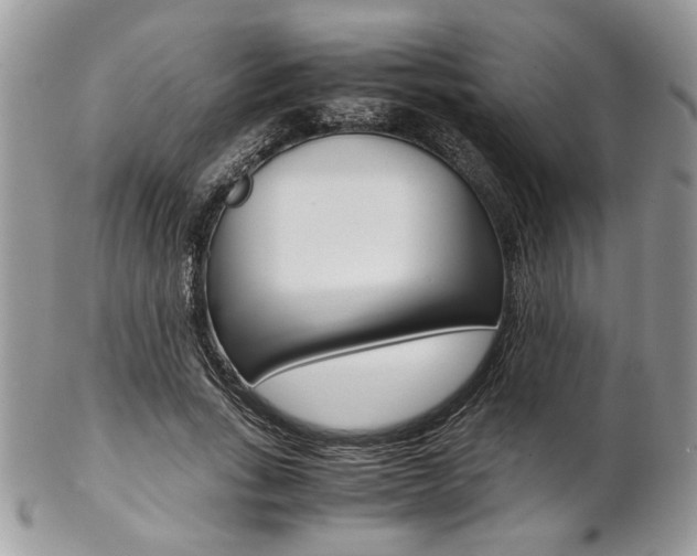 X0000102840735200808181024