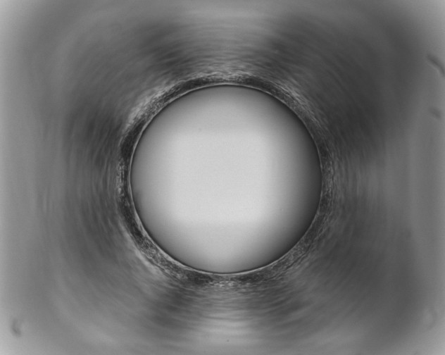 X0000102840736200808181024