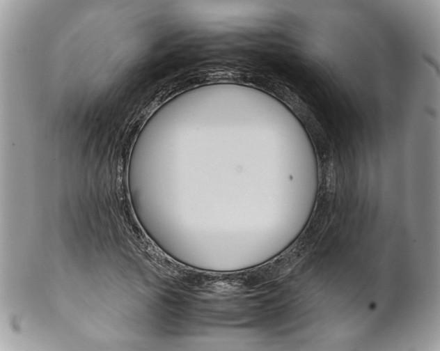 X0000102840737200808181024