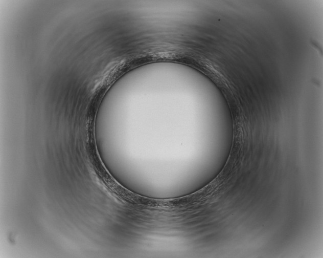 X0000102840738200808181024