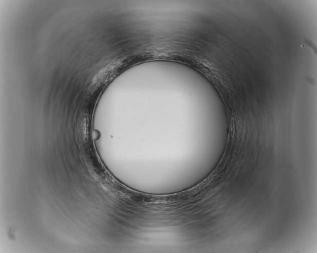 X0000102840740200808181024