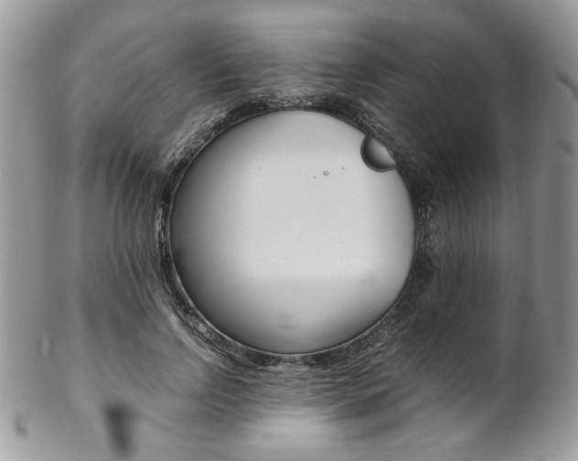 X0000102840742200808181024