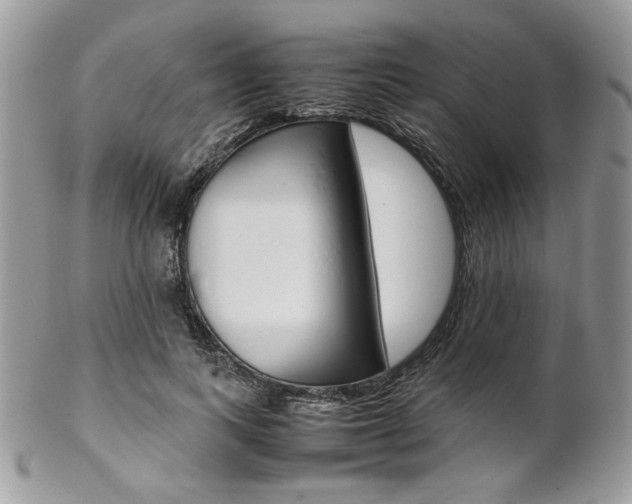 X0000102840743200808181024