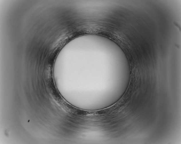 X0000102840744200808181024