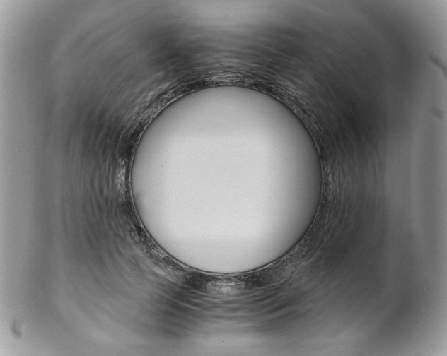 X0000102840745200808181024