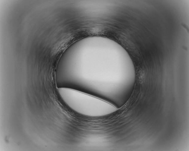 X0000102840746200808181024