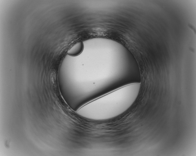 X0000102840747200808181024