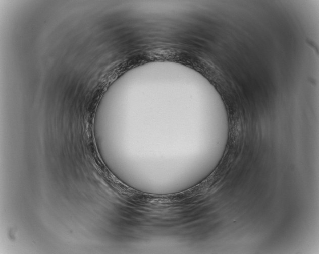 X0000102840749200808181024