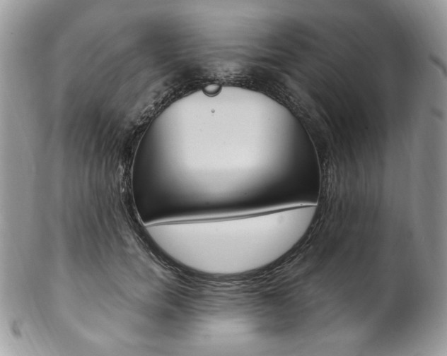 X0000102840750200808181024