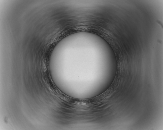 X0000102840751200808181024