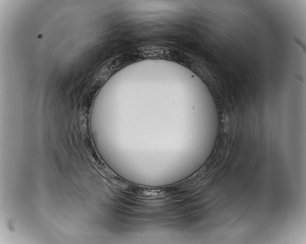 X0000102840753200808181024